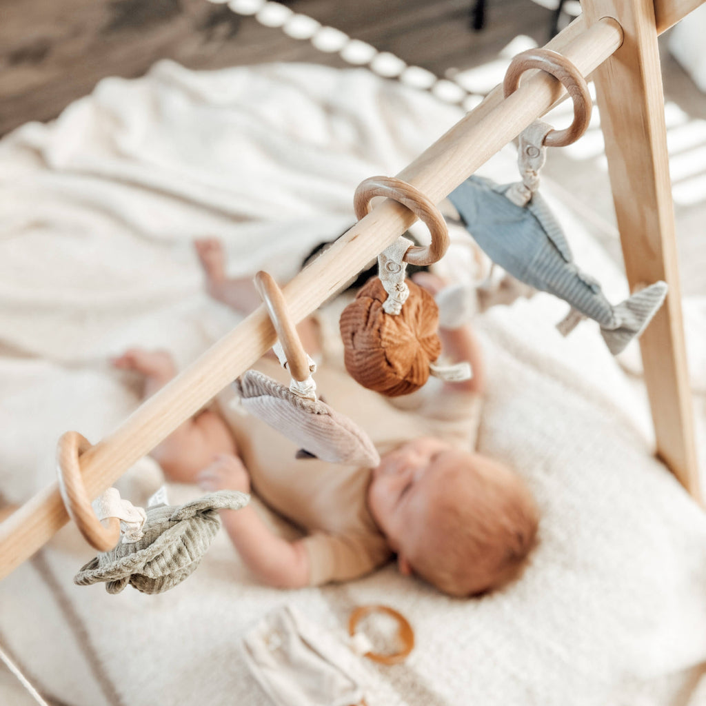 Handheld Rattle for Baby - Cabbage
