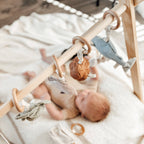 Handheld Rattle for Baby - Cabbage