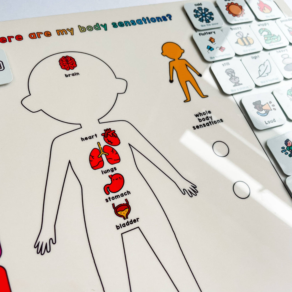 Magnetic Body Sensations Board