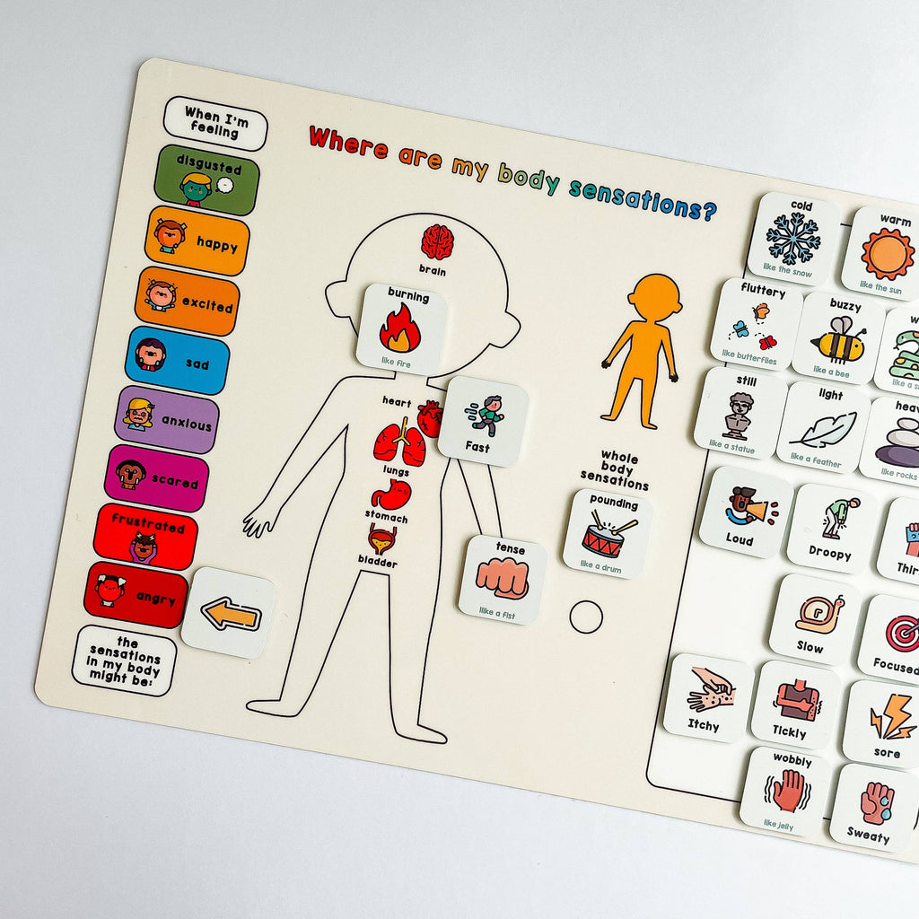 Magnetic Body Sensations Board