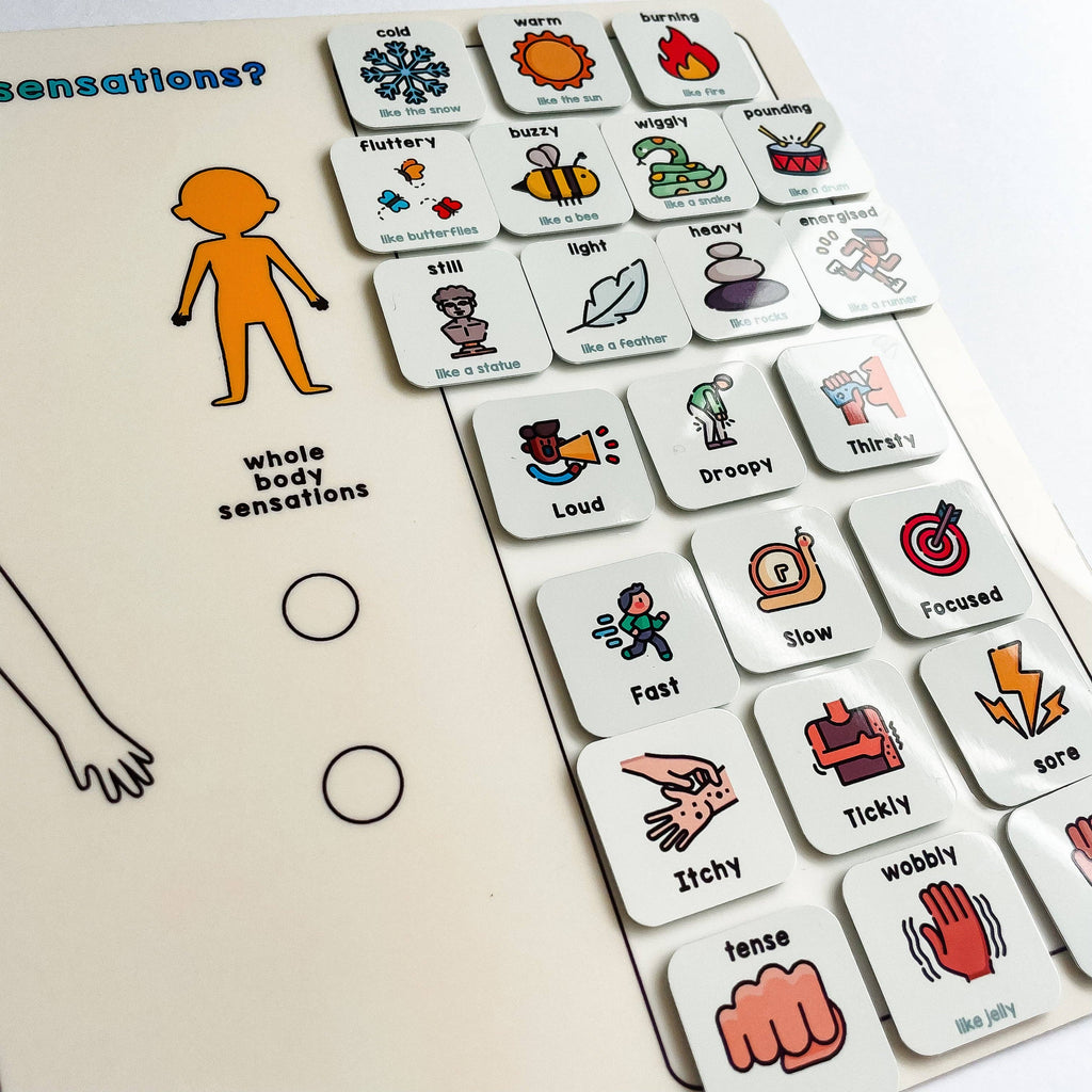 Magnetic Body Sensations Board