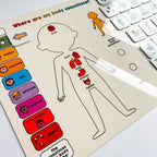 Magnetic Body Sensations Board
