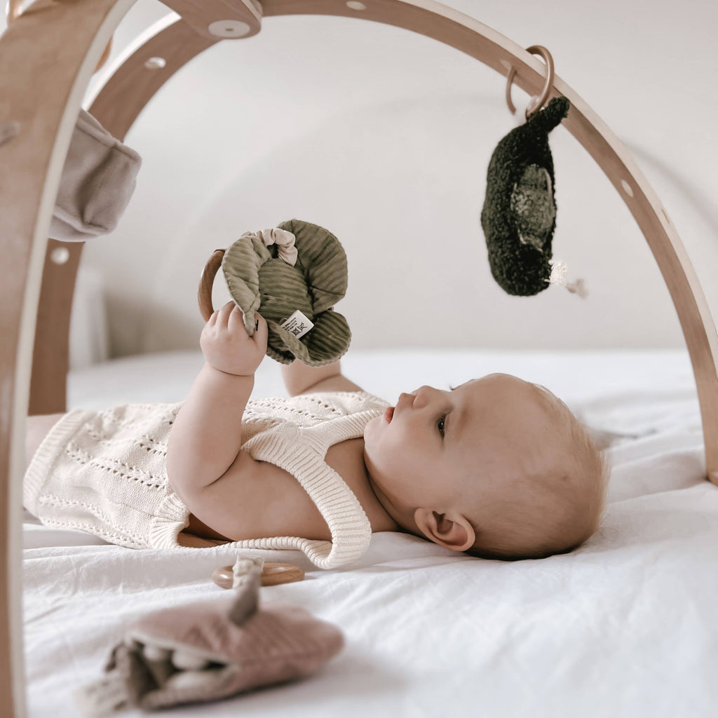 Handheld Rattle for Baby - Cabbage