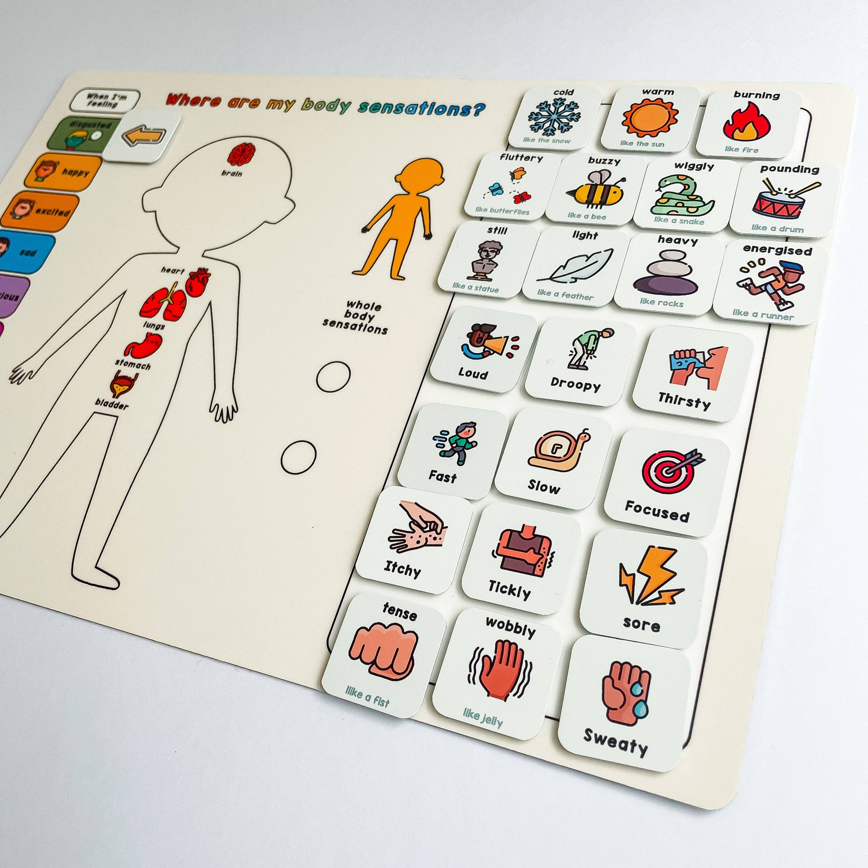 Magnetic Body Sensations Board