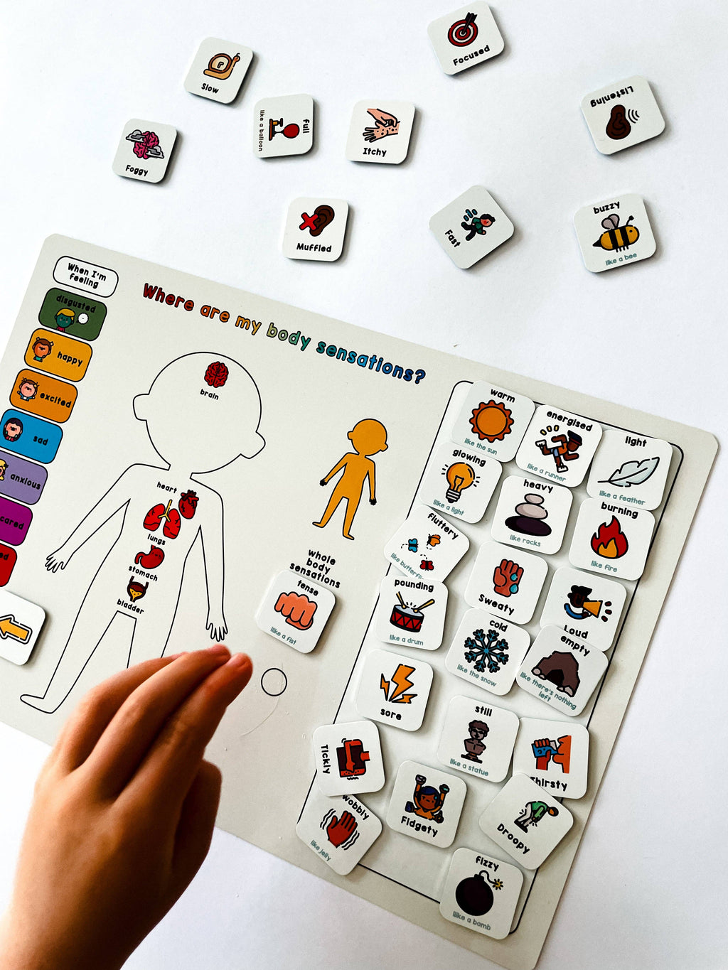Magnetic Body Sensations Board