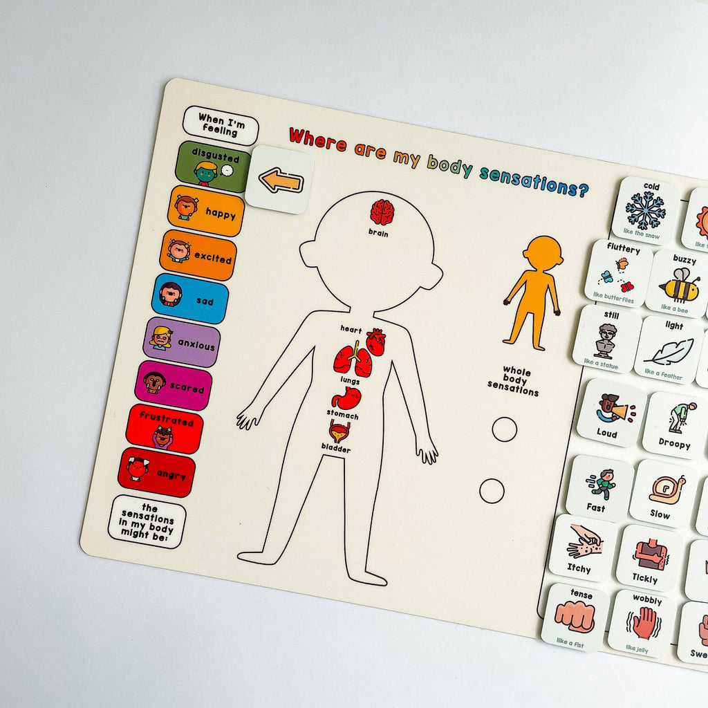 Magnetic Body Sensations Board